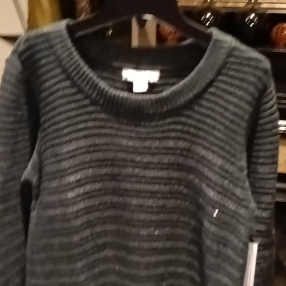 FINAL PRICE NWT Liz Claiborne winter green crew neck l/s sweater w side slits - Picture 2 of 10